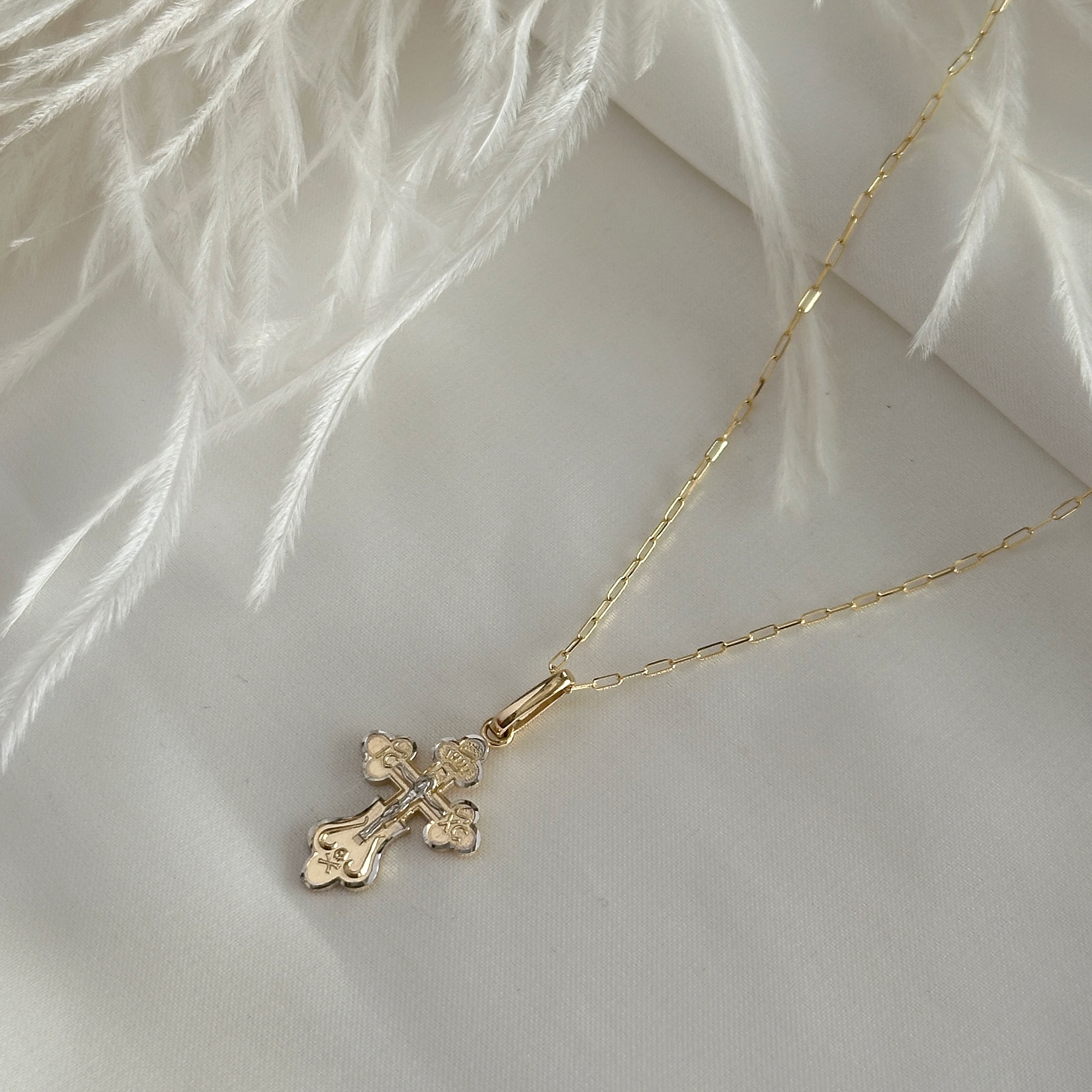 Fusce nec facilisi