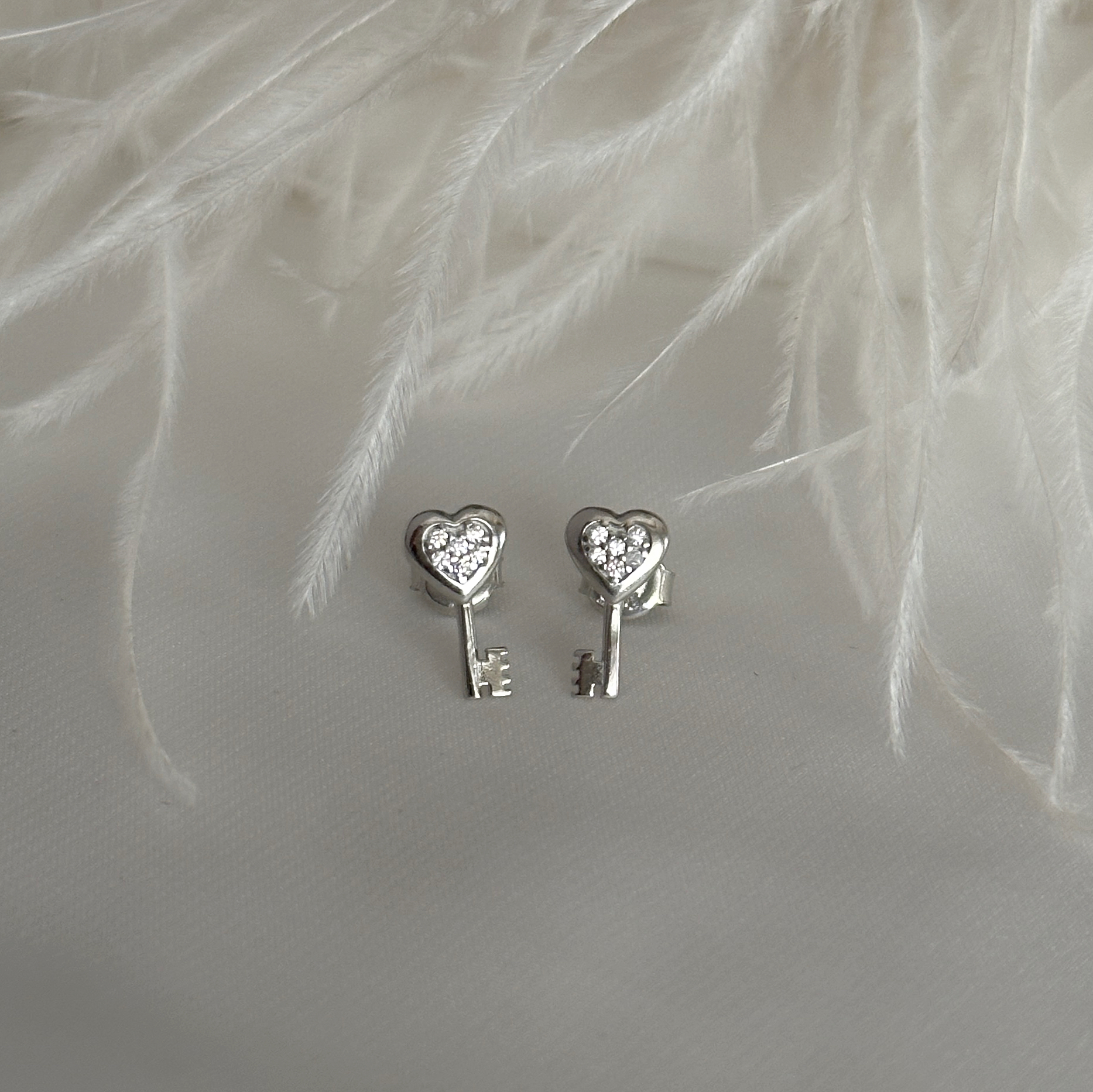 Fusce nec facilisi