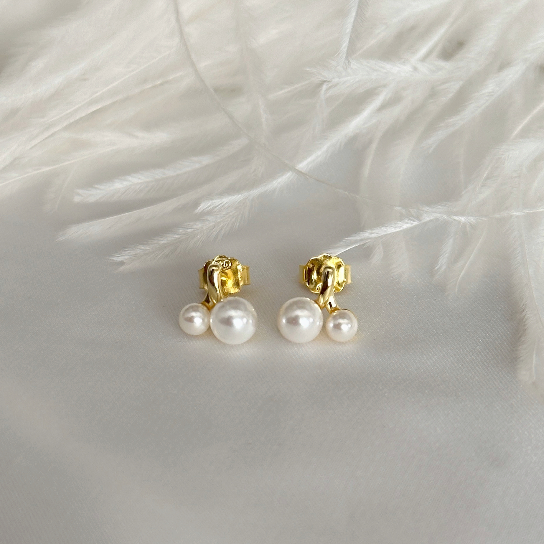 Fusce nec facilisi